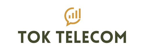tok transparent logo